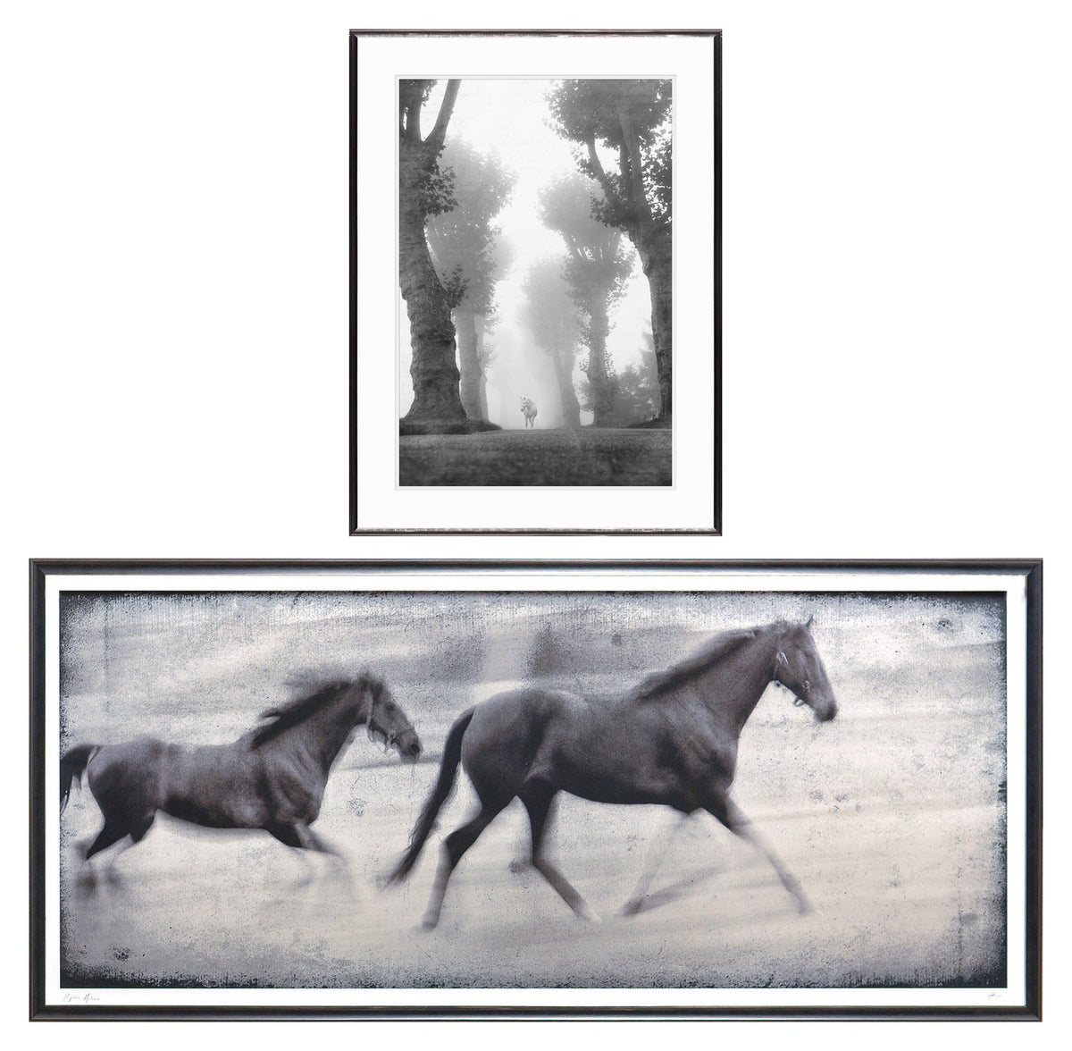 Equine Fantasy & Motion Pair Bundle