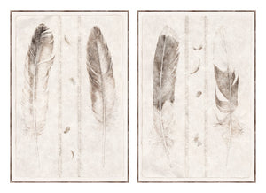 Étude de Plumes Pair Bundle - composite