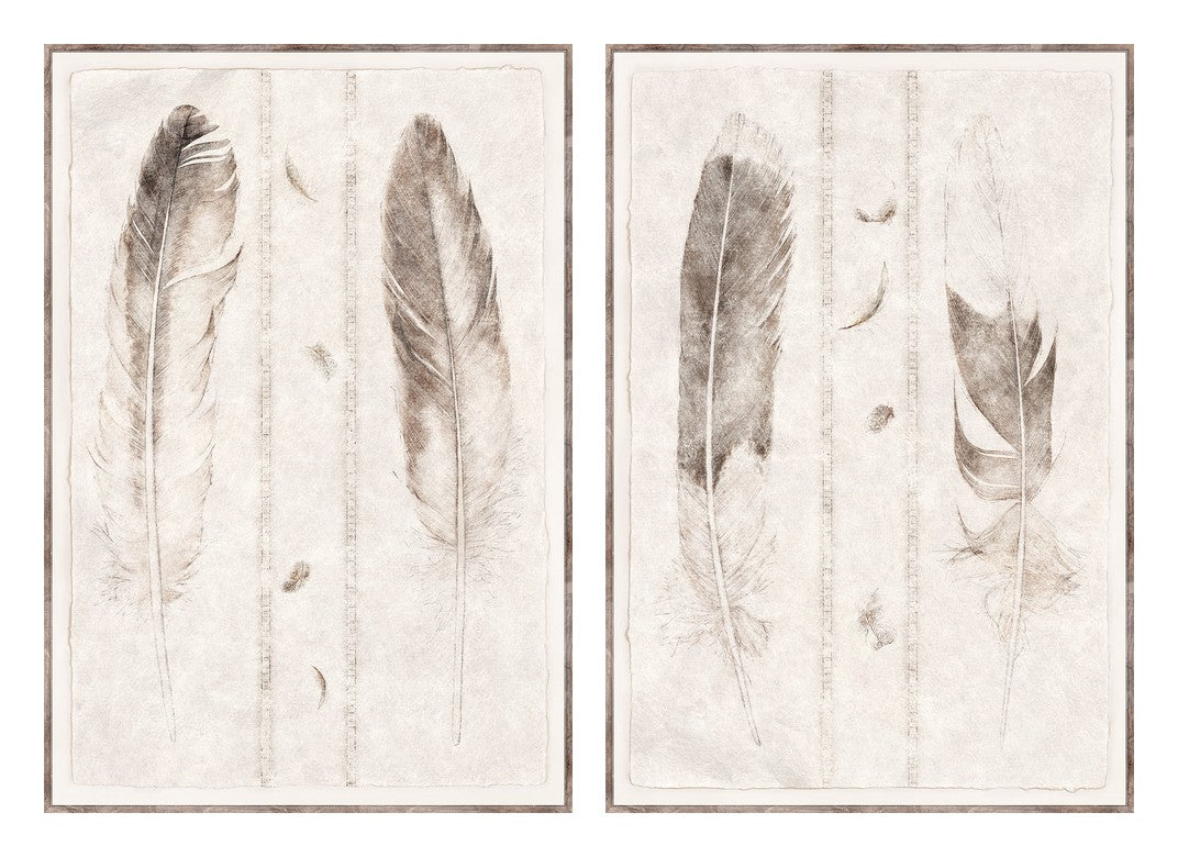 Étude de Plumes Large Format Pair Bundle