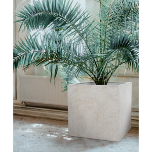 Alona Planter with palm plant inside, showcasing its square design in a bright interior.