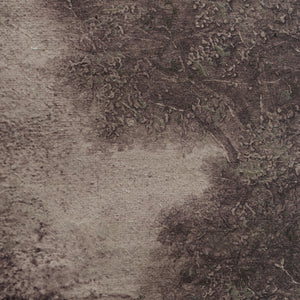 Close-up of Falco canvas art highlighting the intricate texture and colors