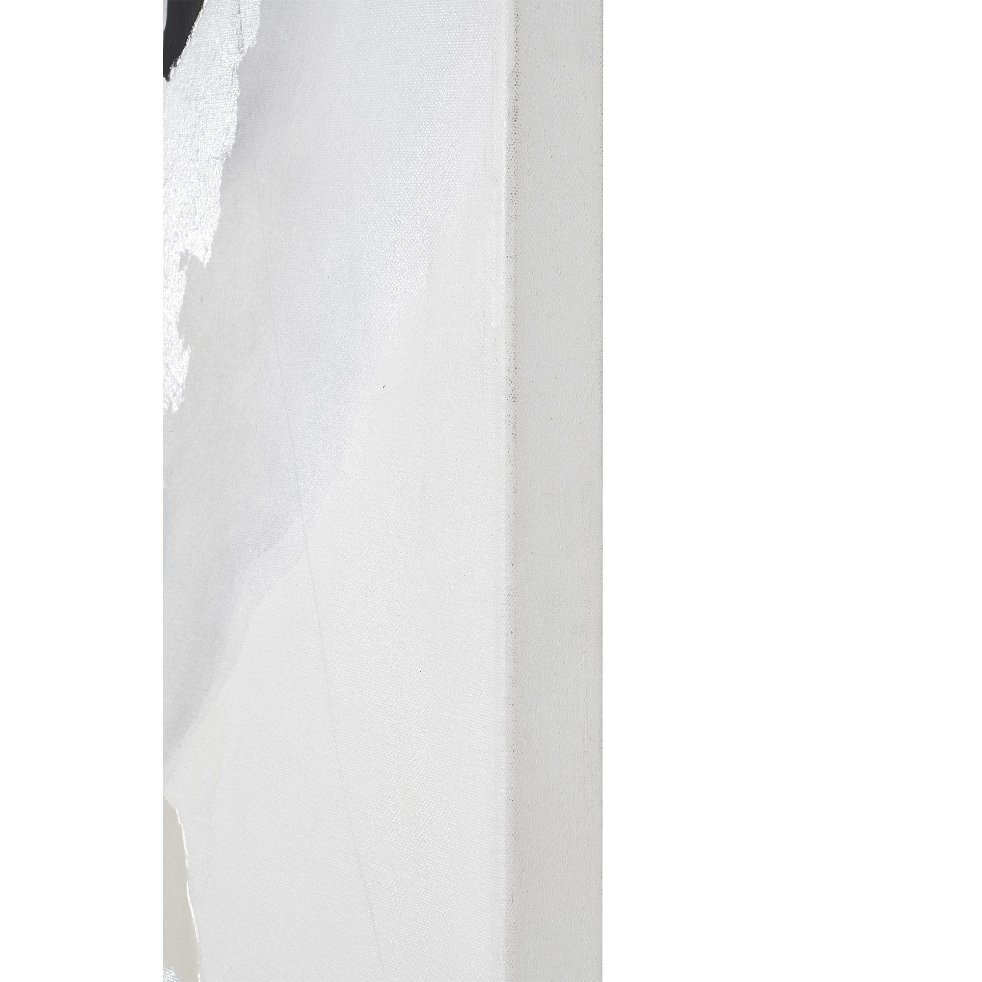 Side view of Alasia canvas art, emphasizing the thickness and edge of the canvas.