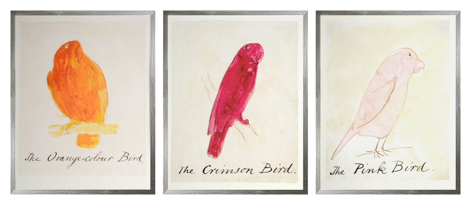 Edward Lear Warm Bird Trio Bundle