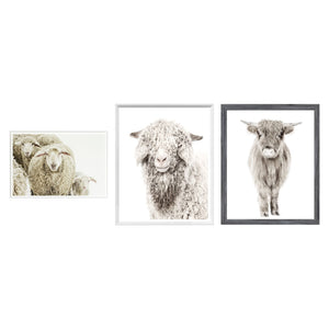 Modern Farmhouse Animals Trio Bundle - Wooly Stare, Angora Goat, Highland Calf