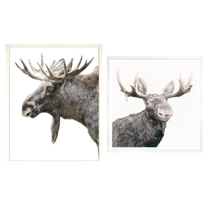 Moose Majesty Pair Bundle - Algonquin and Happy Moose