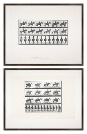 Muybridge Horse & Rider Pair Bundle