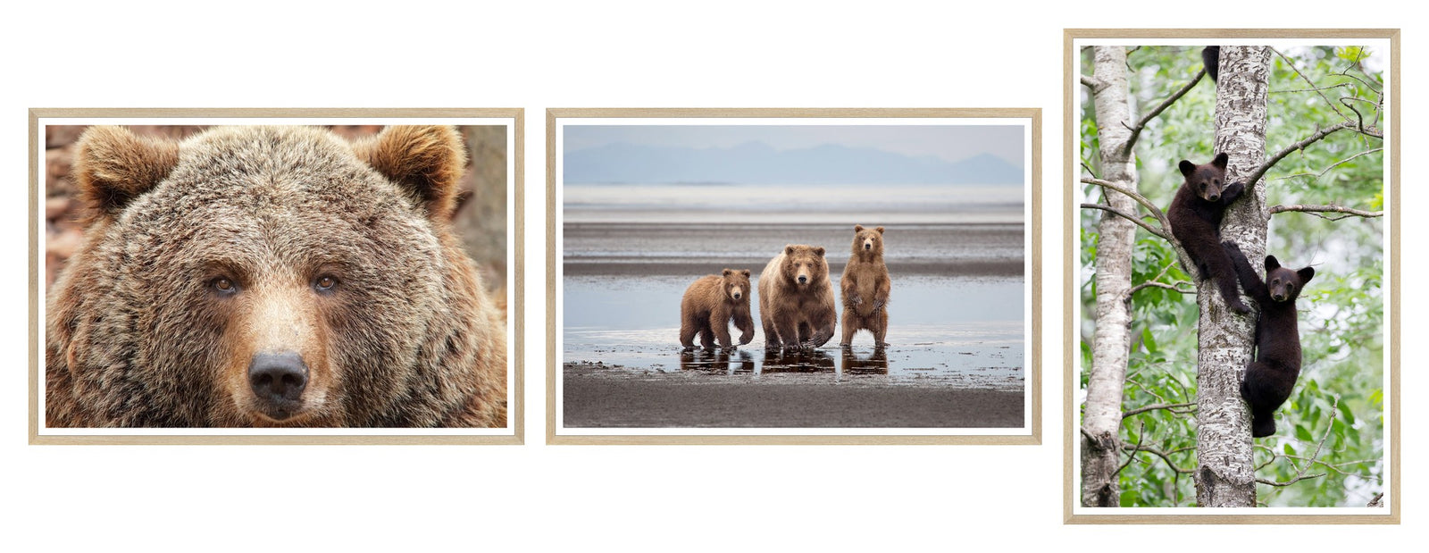 Natural Bear Family Trio Bundle