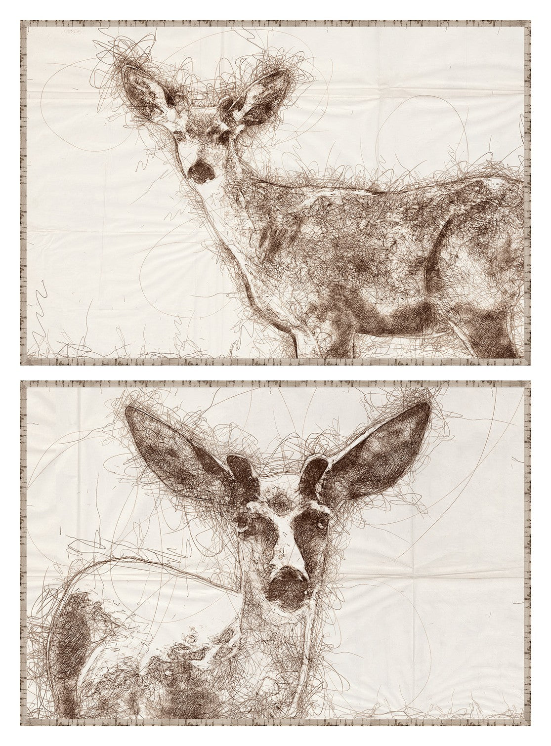 Nature Sketch Deer Pair Bundle - composite