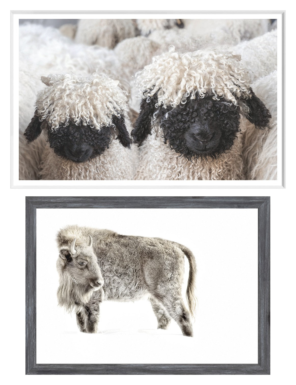 Northern Wilderness Animals Pair Bundle - composite