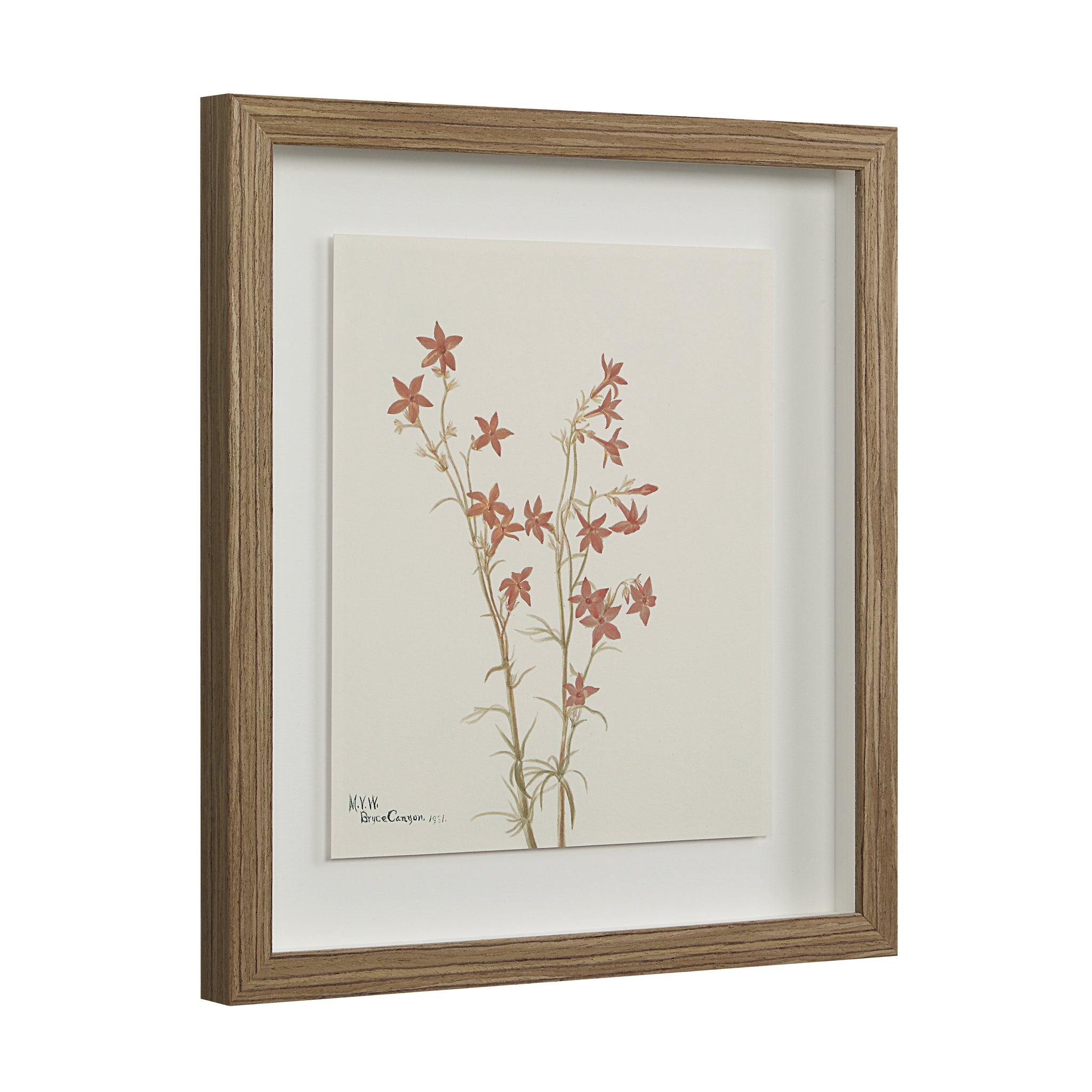 Crema canvas art showing a detailed illustration of red flowers in a natural wood frame.