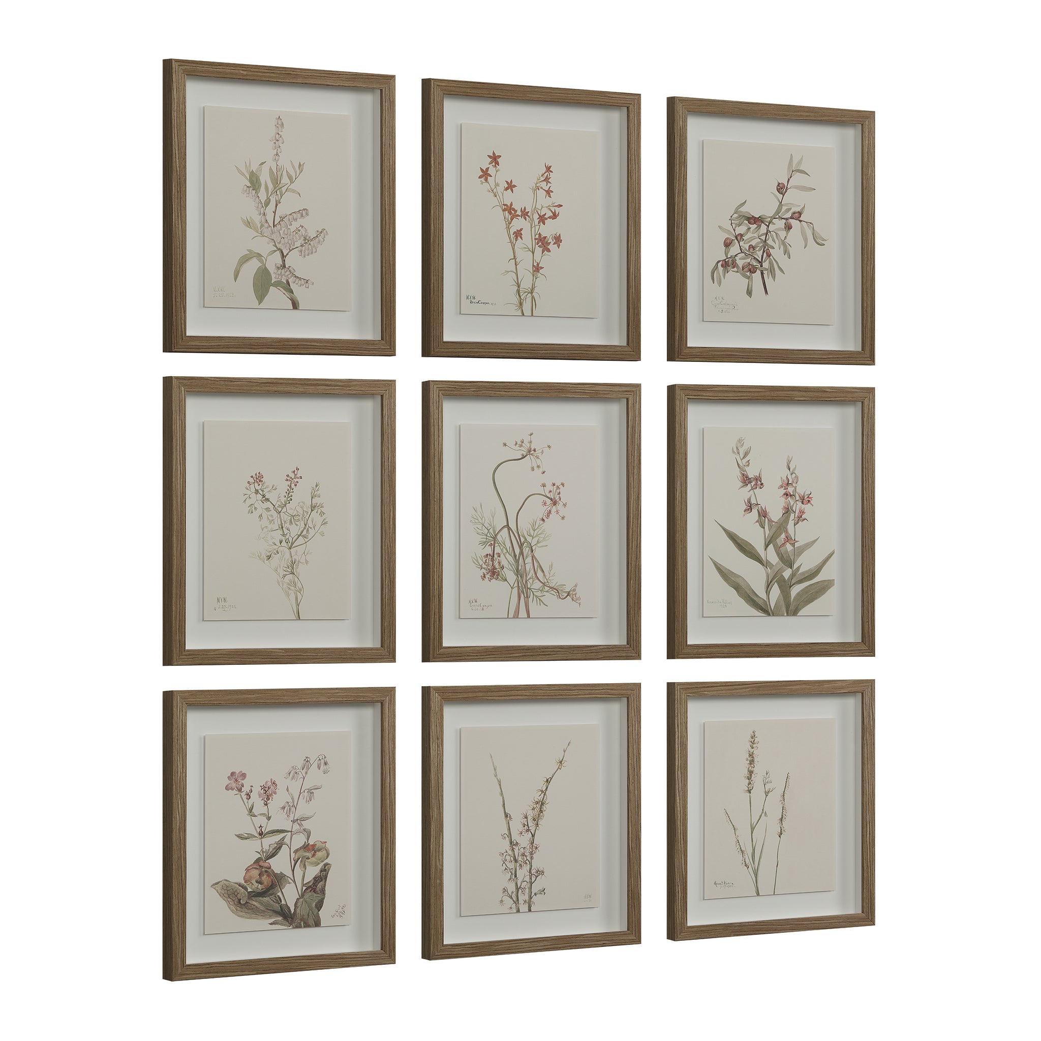 Crema canvas art displaying nine botanical prints in wooden frames with a soft color palette.