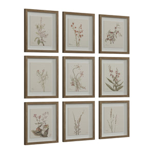 Crema canvas art displaying nine botanical prints in wooden frames with a soft color palette.