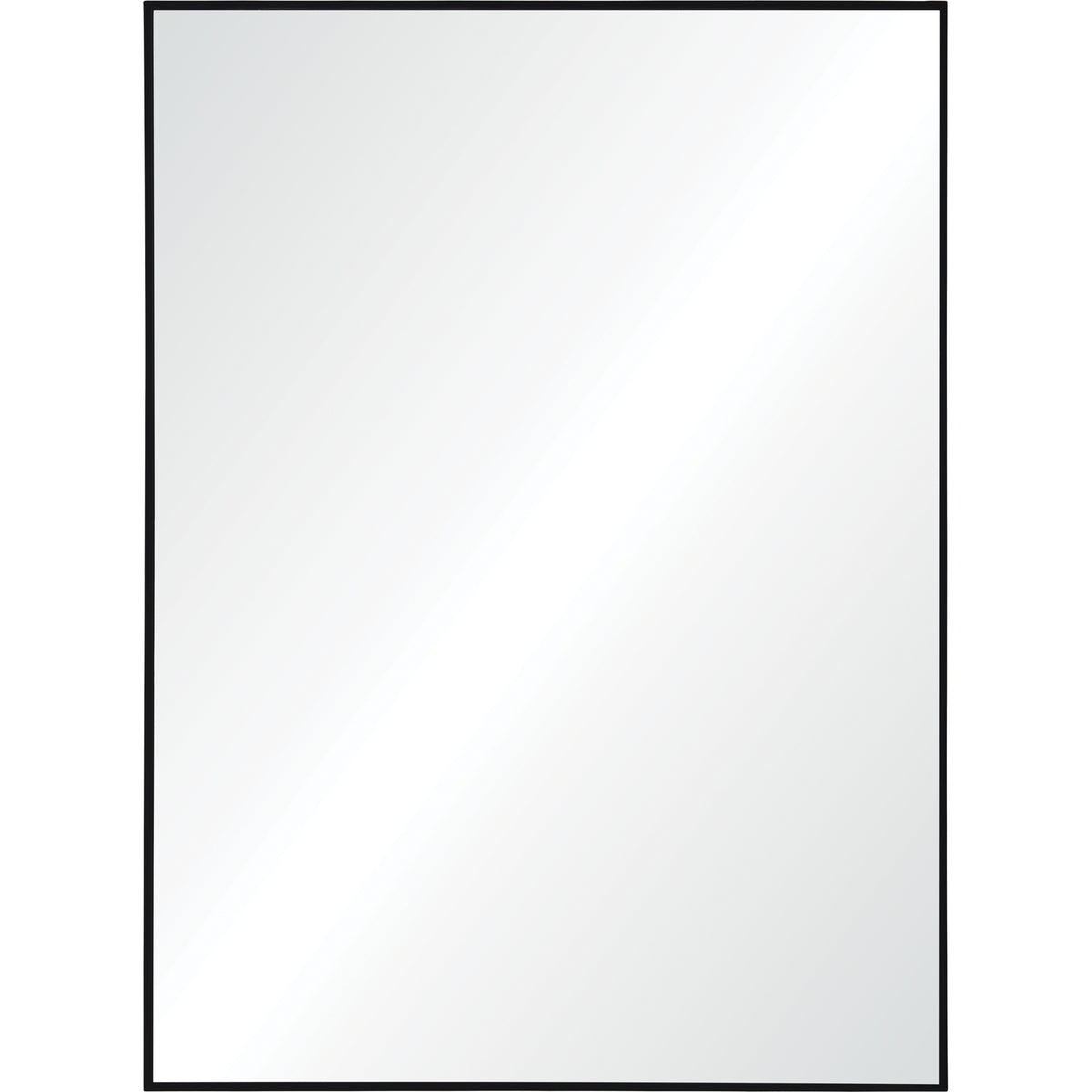 Raizel Wall Mirror with a sleek black frame, reflecting light, front view.