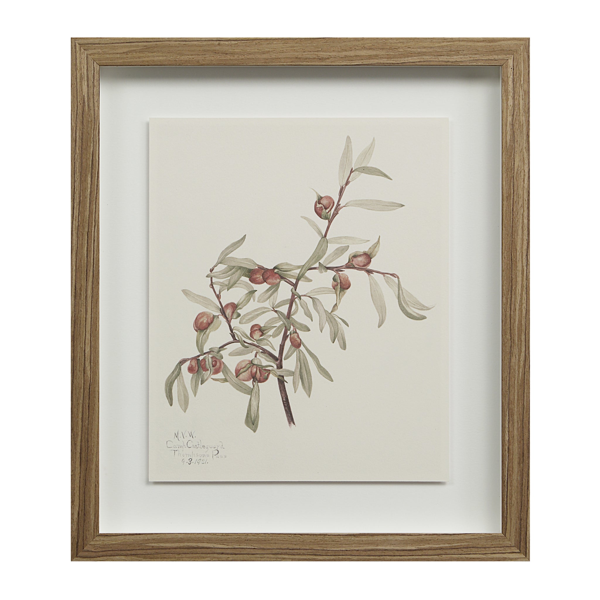 Crema canvas art depicting a branch with green leaves and red buds, framed in light wood.