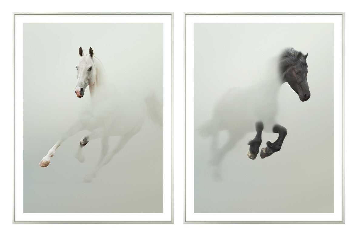 Stallion in Fog Pair Bundle
