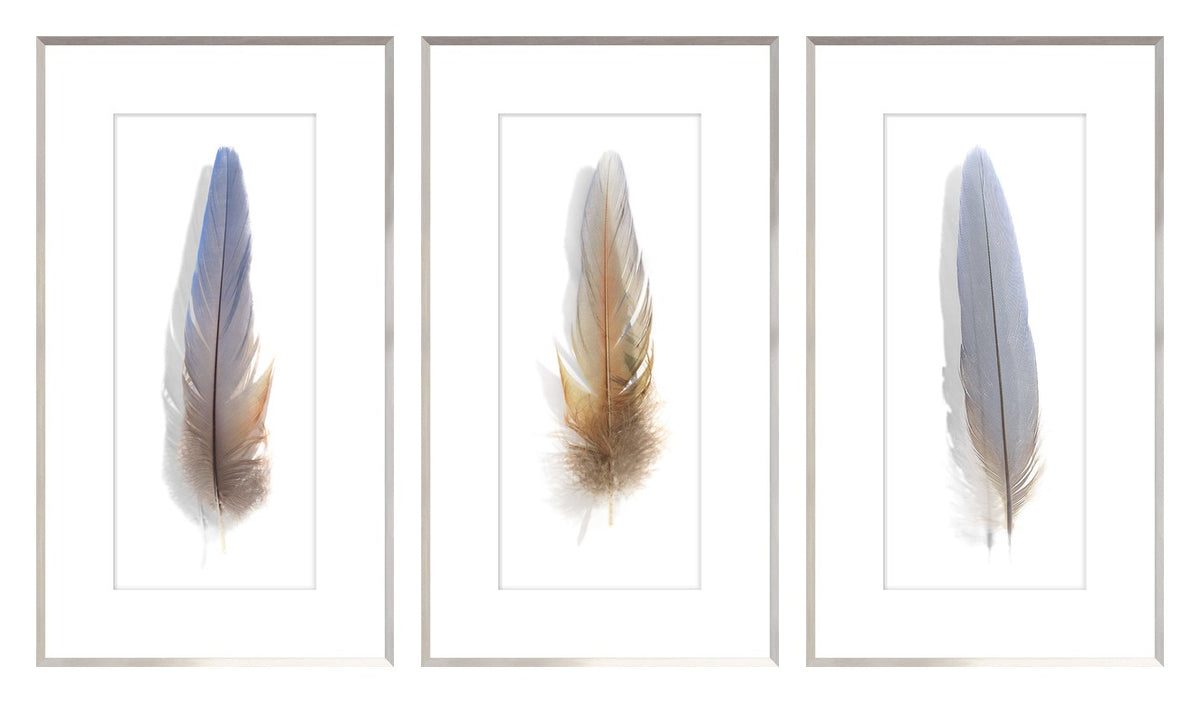 Une Plume Feather Trio Bundle