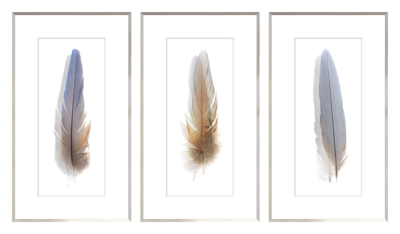 Une Plume Feather Trio Bundle