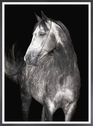 front view of Arabian Profile luxury Artwork